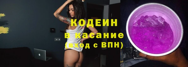 соль ск Краснослободск