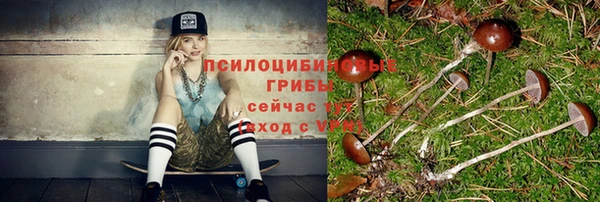 соль ск Краснослободск