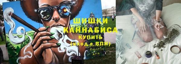 соль ск Краснослободск