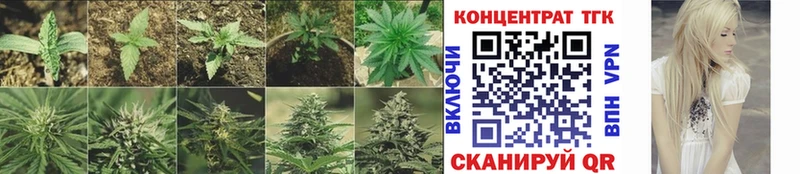 Купить  Бузулук  Дистиллят ТГК жижа 